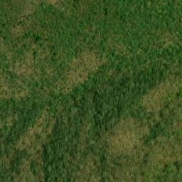 Satellite imagery of Fork Ridge, US