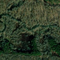 Satellite imagery of R 111 — NGS EH1961 — Lonoke County, US, US