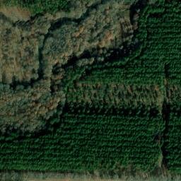 Satellite imagery of R 111 — NGS EH1961 — Lonoke County, US, US