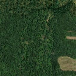 Satellite imagery of Bouldin Point, US