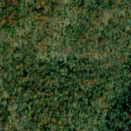 Satellite imagery of Piney Point, US