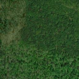 Satellite imagery of Brewer Point, US