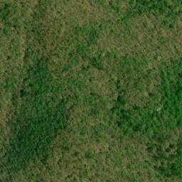 Satellite imagery of Buzzard Roost Ridge, US