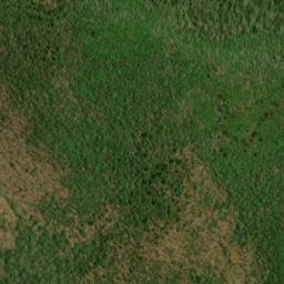 Satellite imagery of Wolfpen Ridge, US