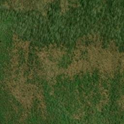 Satellite imagery of Fork Ridge, US