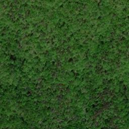 Satellite imagery of Rainy Ridge, US