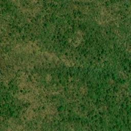 Satellite imagery of Locust Log Ridge, US