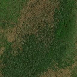 Satellite imagery of Wolfpen Ridge, US