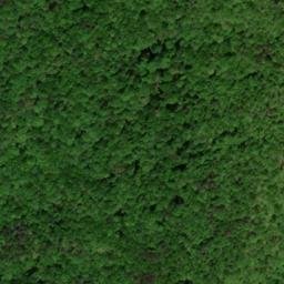 Satellite imagery of Pine Ridge, US