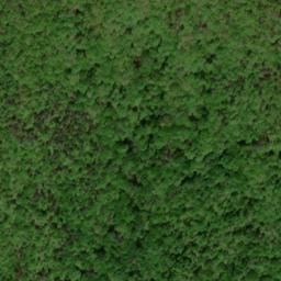 Satellite imagery of Pine Ridge, US