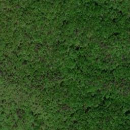 Satellite imagery of Rainy Ridge, US