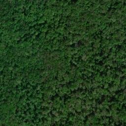 Satellite imagery of Russell Point, US