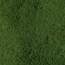 Satellite imagery of Pigpen Ridge, US