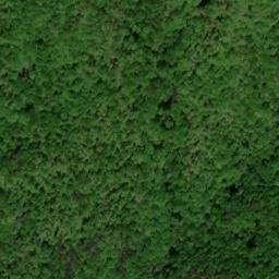 Satellite imagery of Rainy Ridge, US