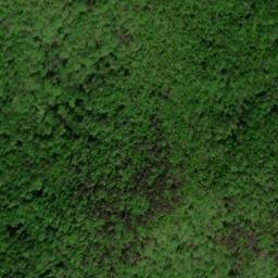 Satellite imagery of Rainy Ridge, US