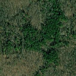 Satellite imagery of Cedar Ridge, US