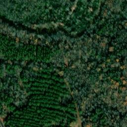 Satellite imagery of Ivy Bluff, US