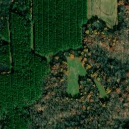 Satellite imagery of Buzzard Roost Bluff, US