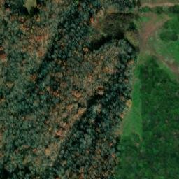 Satellite imagery of Buzzard Roost Bluff, US