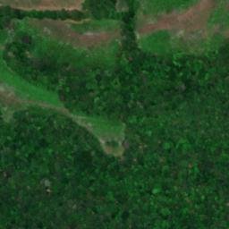 Satellite imagery of Buzzard Roost Bluff, US