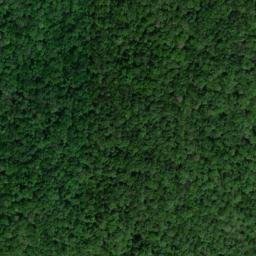 Satellite imagery of Stewart Ridge, US