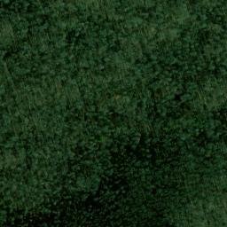 Satellite imagery of Wilson Point, US