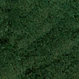 Satellite imagery of Wilson Point, US