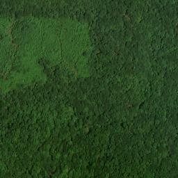 Satellite imagery of Big Bend, US