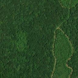 Satellite imagery of Big Bend, US