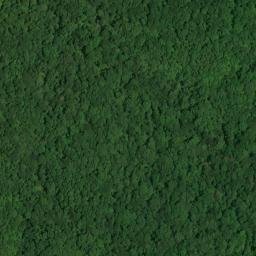 Satellite imagery of Big Bend, US
