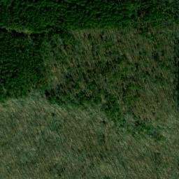 Satellite imagery of Wilson Point, US