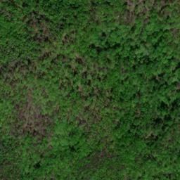 Satellite imagery of Duncan Bald, US