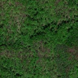 Satellite imagery of Duncan Bald, US