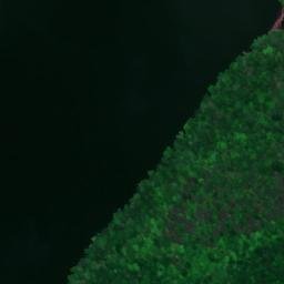 Satellite imagery of Bud Graham Bluff, US
