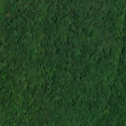 Satellite imagery of Big Bend, US