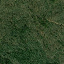 Satellite imagery of Wilson Point, US