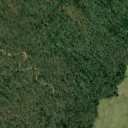 Satellite imagery of Wilson Point, US