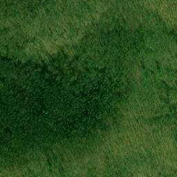 Satellite imagery of Rattlesnake Lead, US