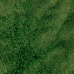 Satellite imagery of Rattlesnake Lead, US