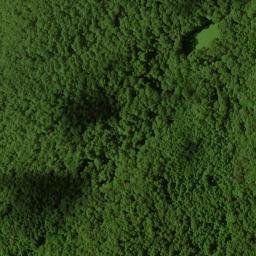 Satellite imagery of Chinquapin Ridge, US