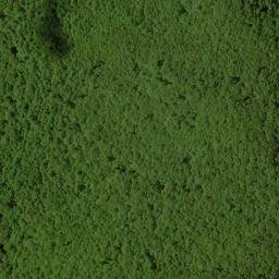 Satellite imagery of Chinquapin Ridge, US