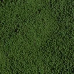 Satellite imagery of Chinquapin Ridge, US