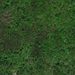 Satellite imagery of Duncan Bald, US