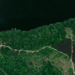 Satellite imagery of Bud Graham Bluff, US