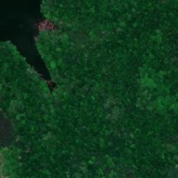 Satellite imagery of Bud Graham Bluff, US