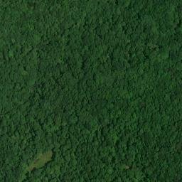 Satellite imagery of Big Bend, US