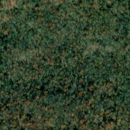 Satellite imagery of Clemmons Point, US