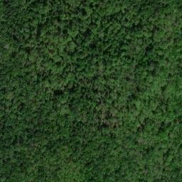 Satellite imagery of Inglis Point, US