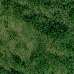 Satellite imagery of Parks Ridge, US