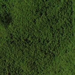Satellite imagery of Chinquapin Ridge, US